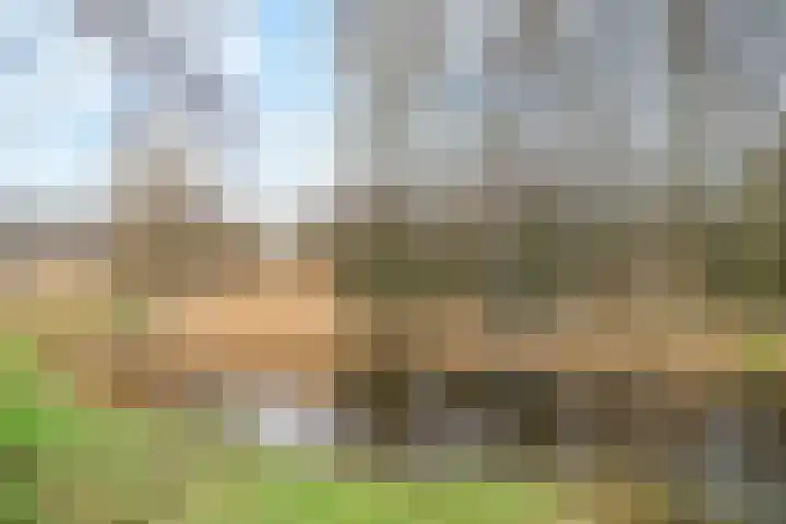 Puccinistraat 7 Amersfoort thumbnail 39