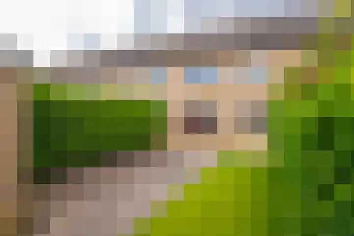 Puccinistraat 8 Zevenaar thumbnail 18