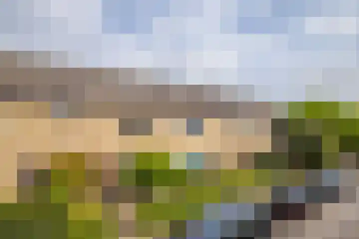 Puccinistraat 8 Zevenaar thumbnail 6