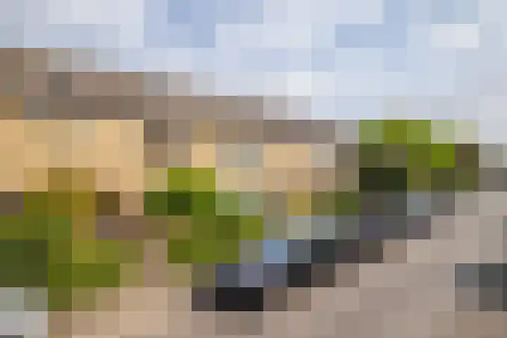 Puccinistraat 8 Zevenaar thumbnail 7