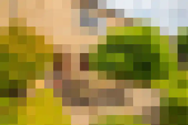 Puccinistraat 8 Zevenaar thumbnail 8