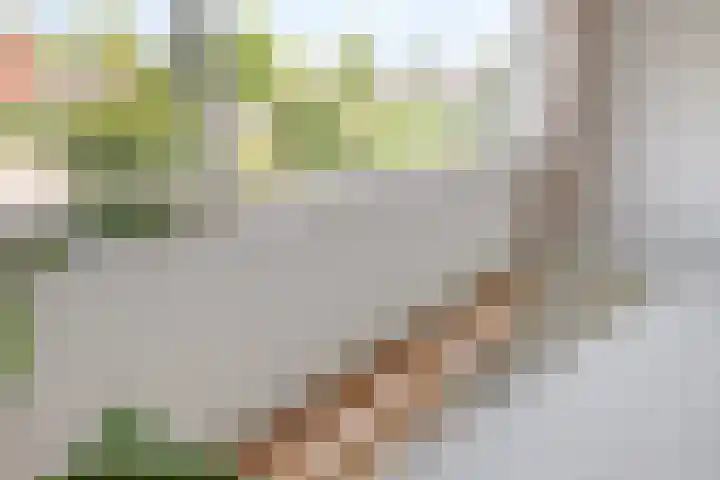 Puccinistraat 9 Capelle aan den IJssel thumbnail 13