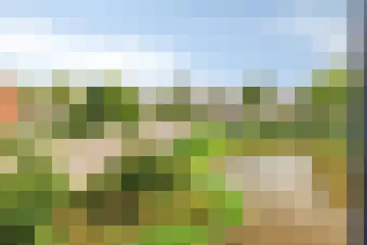 Puccinistraat 9 Capelle aan den IJssel thumbnail 20