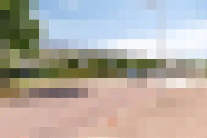 Puccinistraat 9 Capelle aan den IJssel thumbnail 28