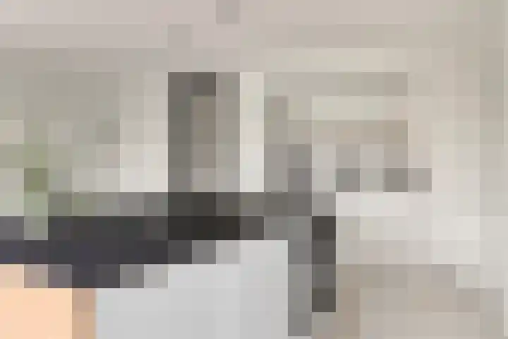 Puccinistraat 9 Capelle aan den IJssel thumbnail 6