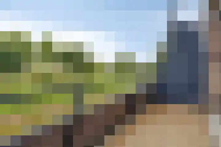 Puccinistraat 9 Capelle aan den IJssel thumbnail 8