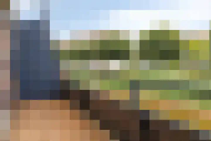 Puccinistraat 9 Capelle aan den IJssel thumbnail 9