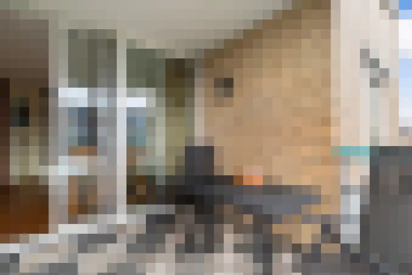Puccinistraat 90 Capelle aan den IJssel thumbnail 21