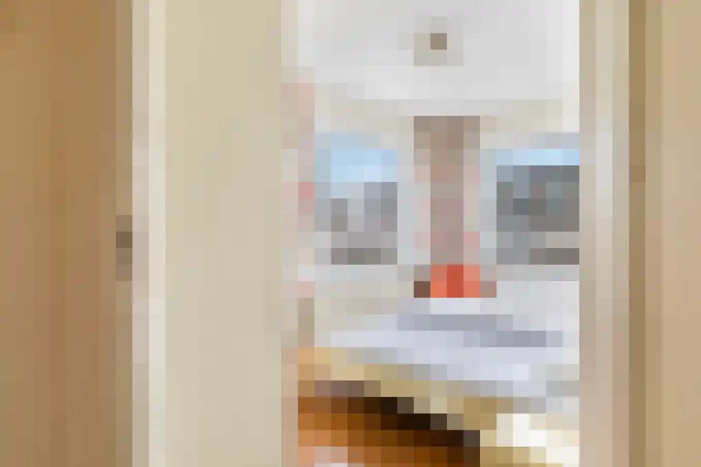 Puccinistraat 90 Capelle aan den IJssel thumbnail 25