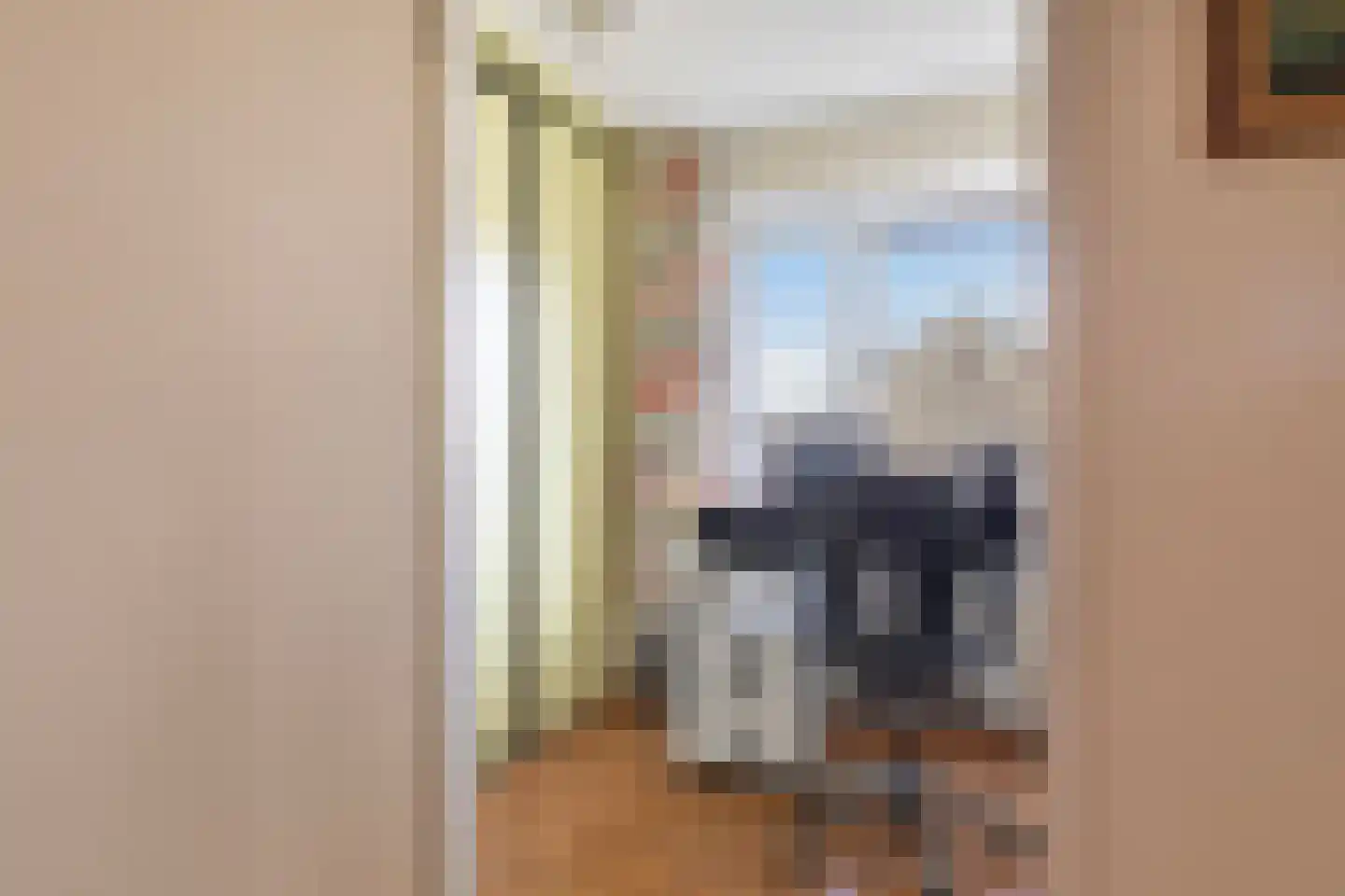 Puccinistraat 90 Capelle aan den IJssel thumbnail 30