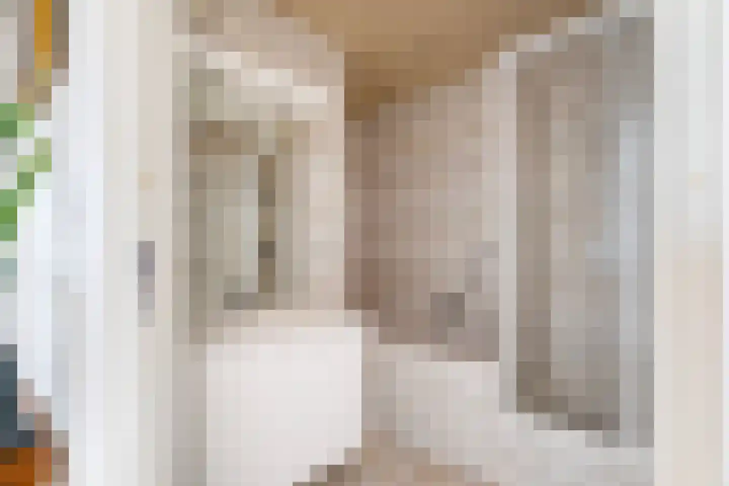 Puccinistraat 90 Capelle aan den IJssel thumbnail 31