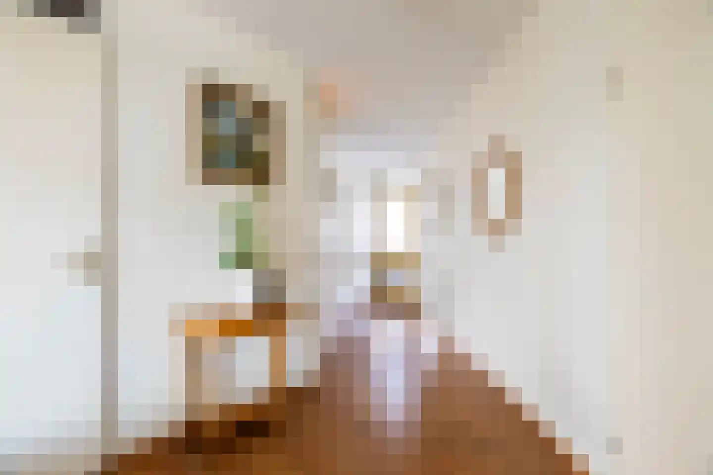 Puccinistraat 90 Capelle aan den IJssel thumbnail 8