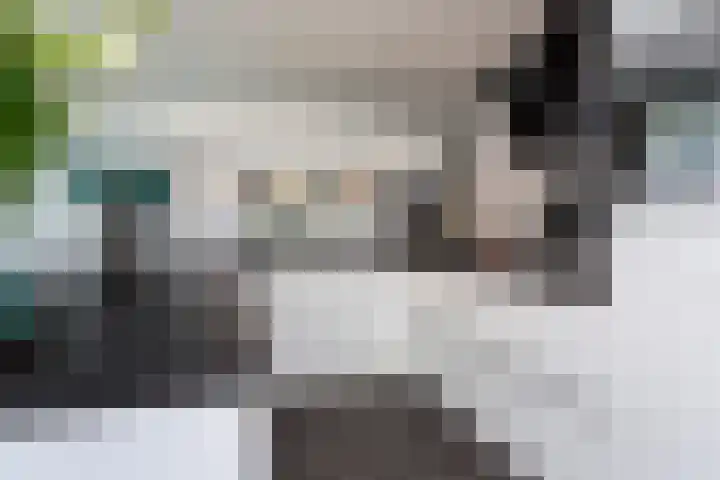 Puck van Heelstraat 62 Rotterdam thumbnail 4