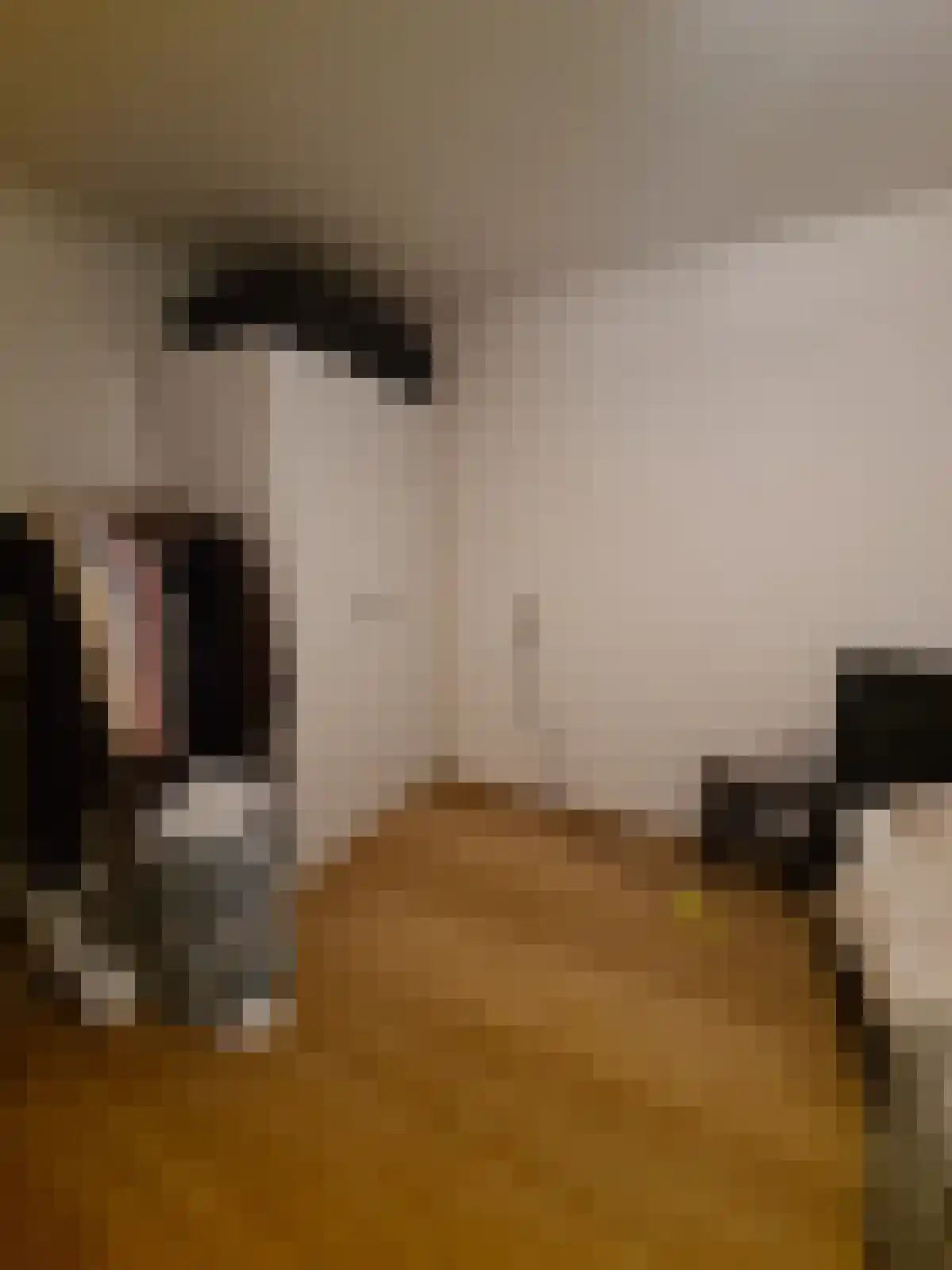 Puck van Heelstraat 62 Rotterdam thumbnail 5