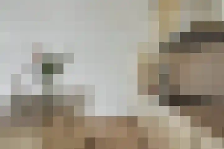 Puck van Heelstraat 64 Rotterdam thumbnail 5
