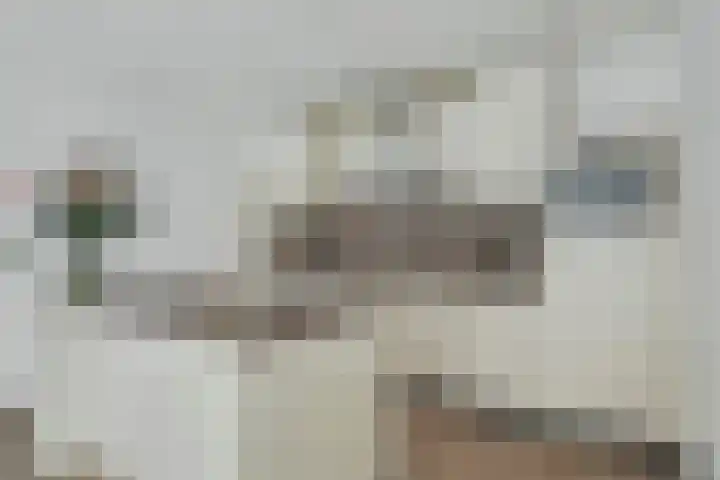 Puck van Heelstraat 64 Rotterdam thumbnail 6