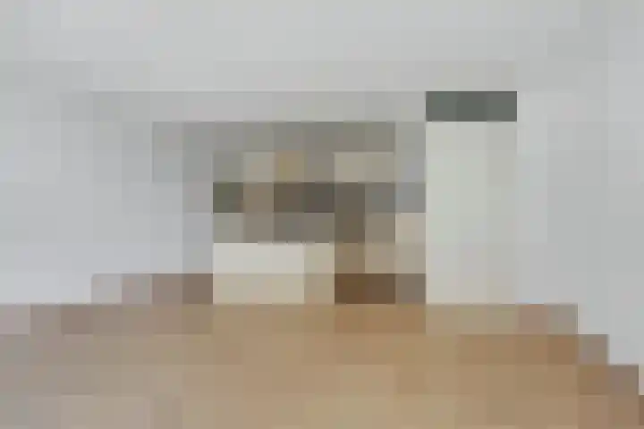 Puck van Heelstraat 64 Rotterdam thumbnail 7