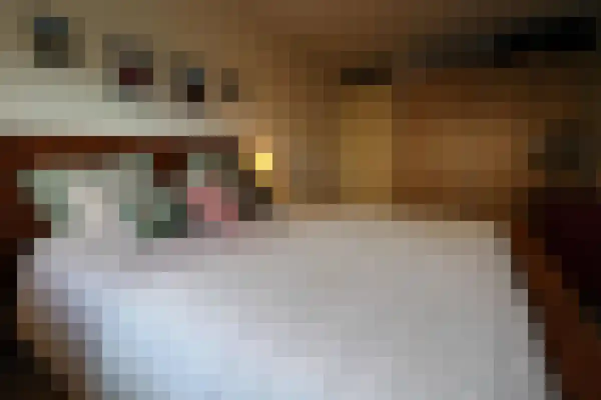 Puck van Heelstraat 76 Rotterdam thumbnail 7