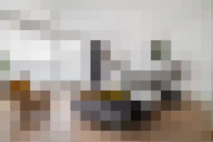 Puck van Heelstraat 78 Rotterdam thumbnail 10