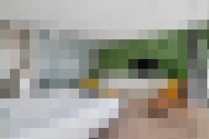 Puck van Heelstraat 78 Rotterdam thumbnail 11