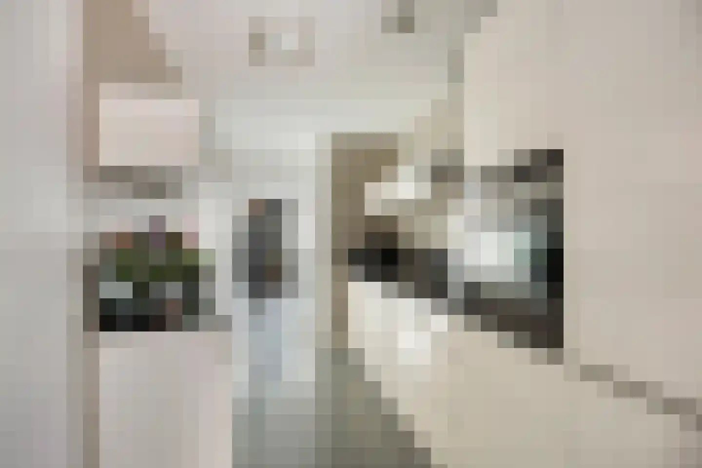 Puck van Heelstraat 94 Rotterdam thumbnail 13
