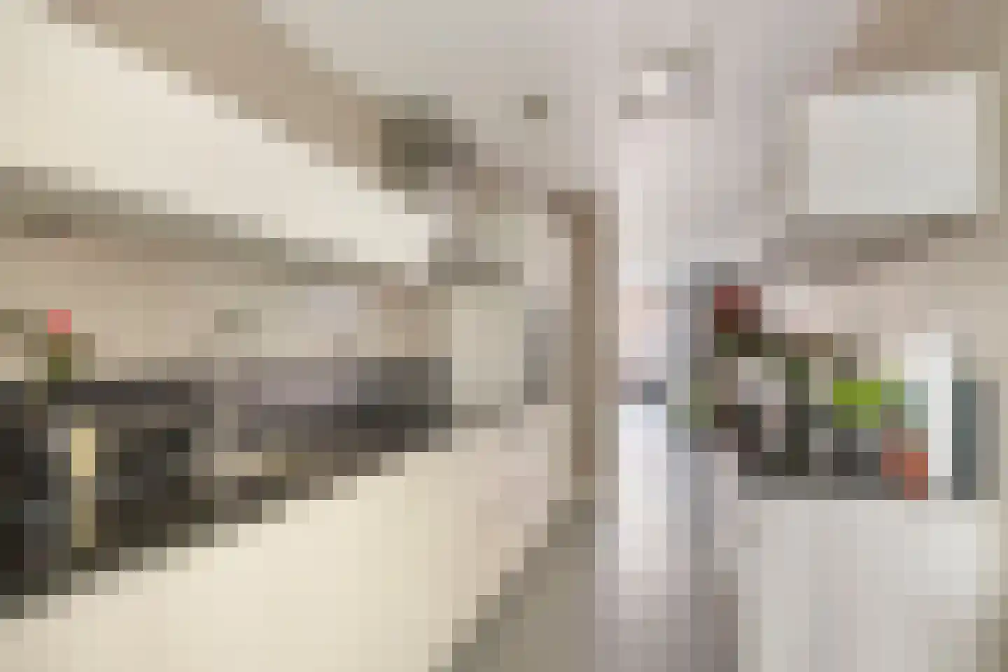 Puck van Heelstraat 94 Rotterdam thumbnail 14