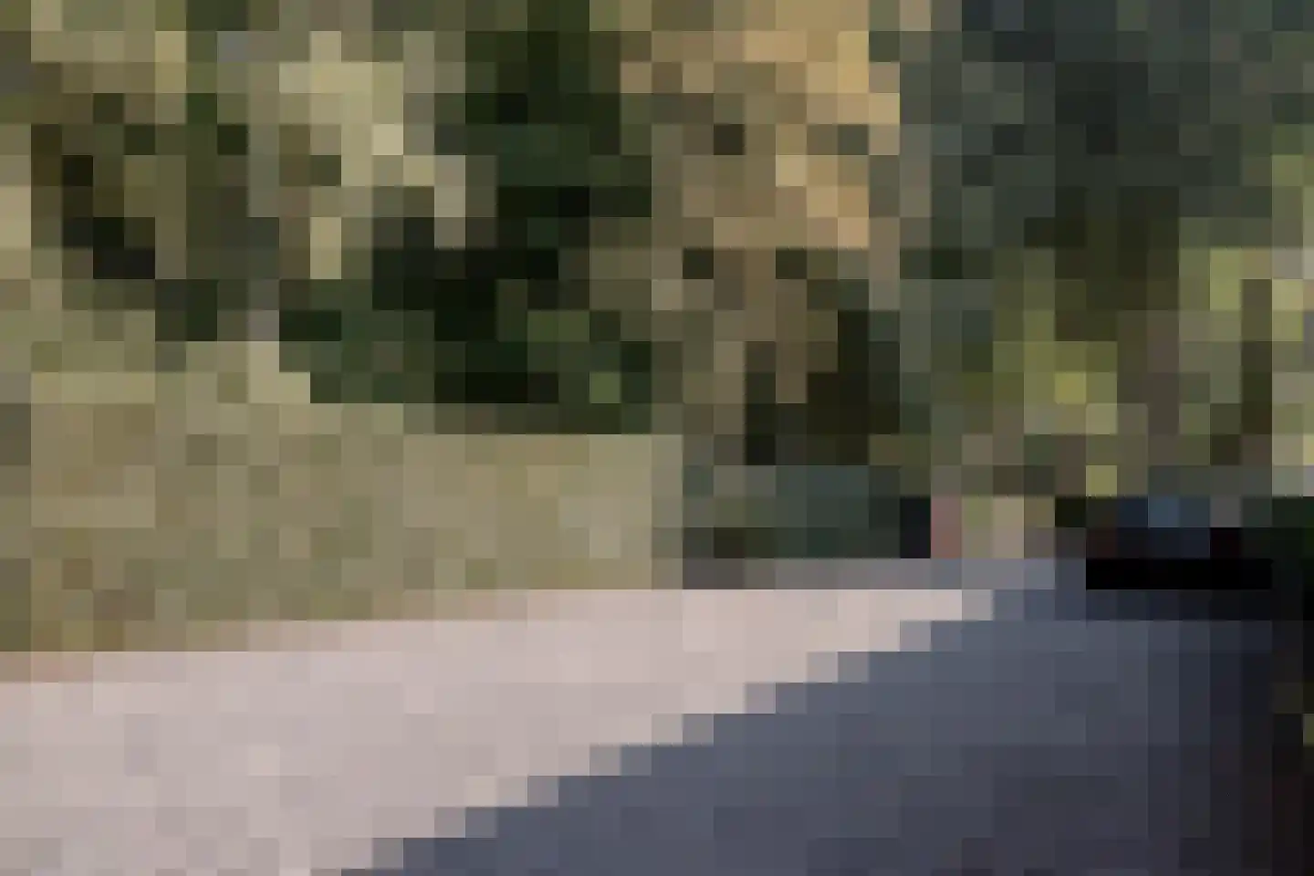 Pucklaan 13 Diever thumbnail 10