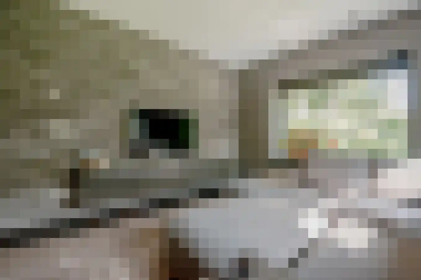 Pucklaan 13 Diever thumbnail 14