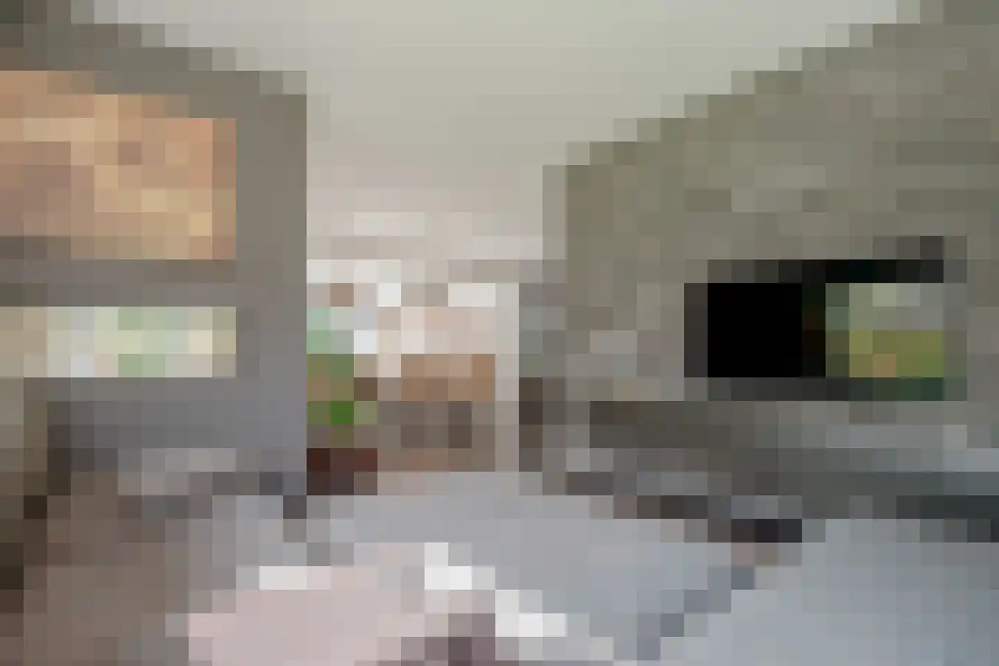 Pucklaan 13 Diever thumbnail 15