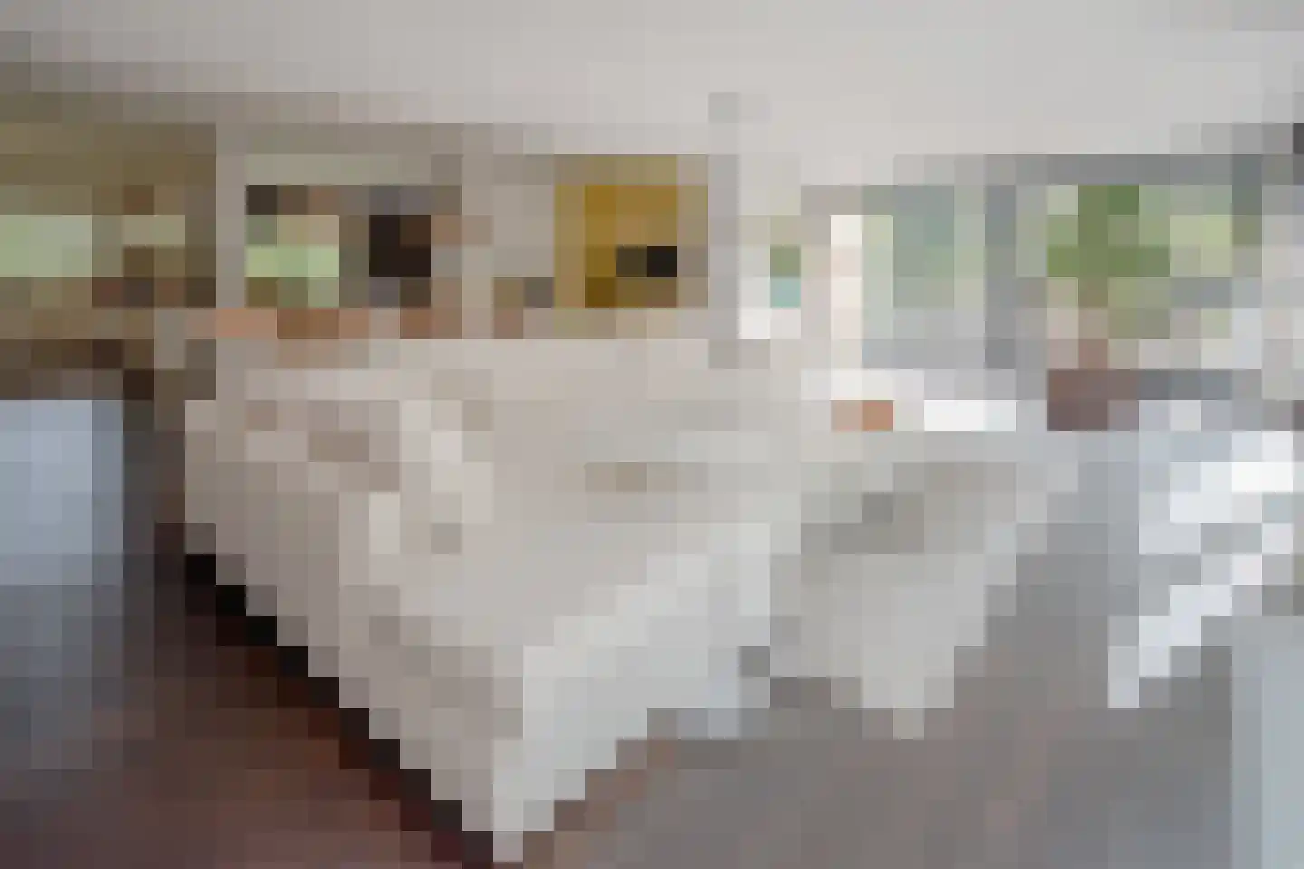 Pucklaan 13 Diever thumbnail 22
