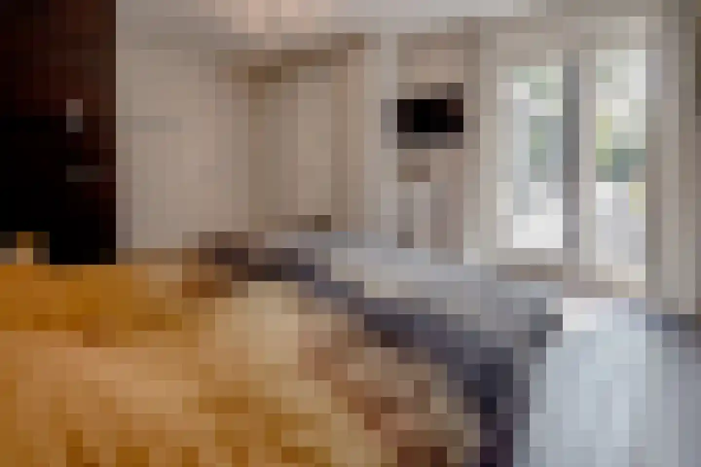 Pucklaan 13 Diever thumbnail 28