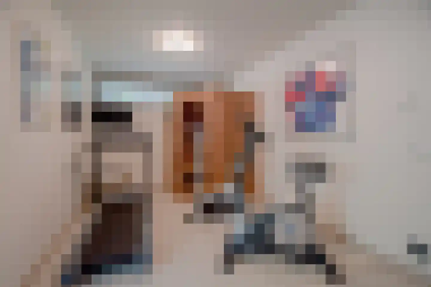 Pucklaan 13 Diever thumbnail 32
