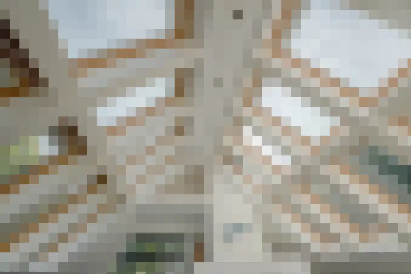 Pucklaan 13 Diever thumbnail 40