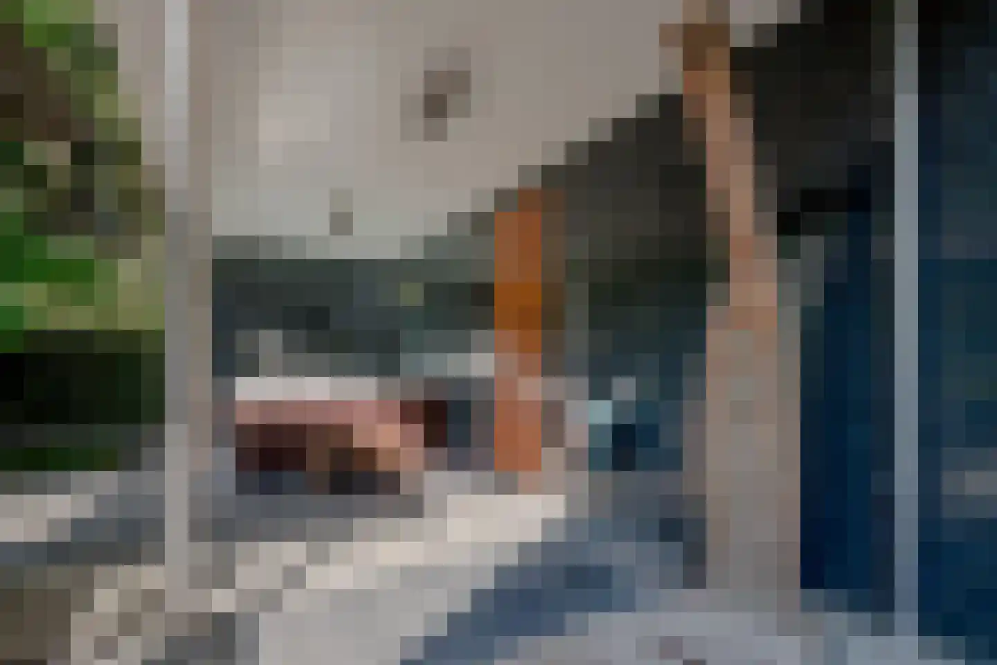 Pucklaan 13 Diever thumbnail 59