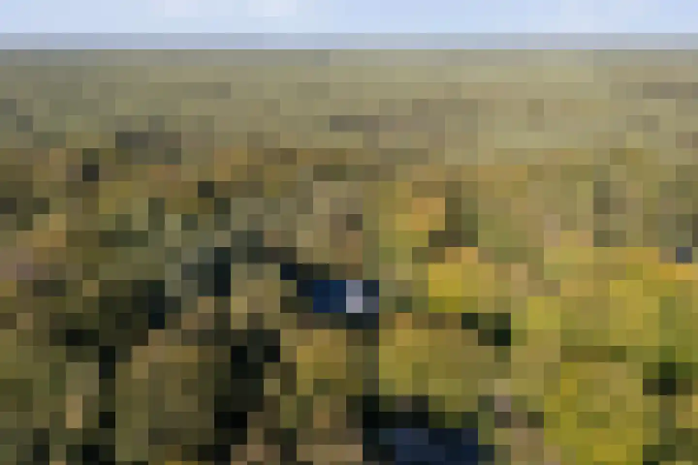 Pucklaan 13 Diever thumbnail 6