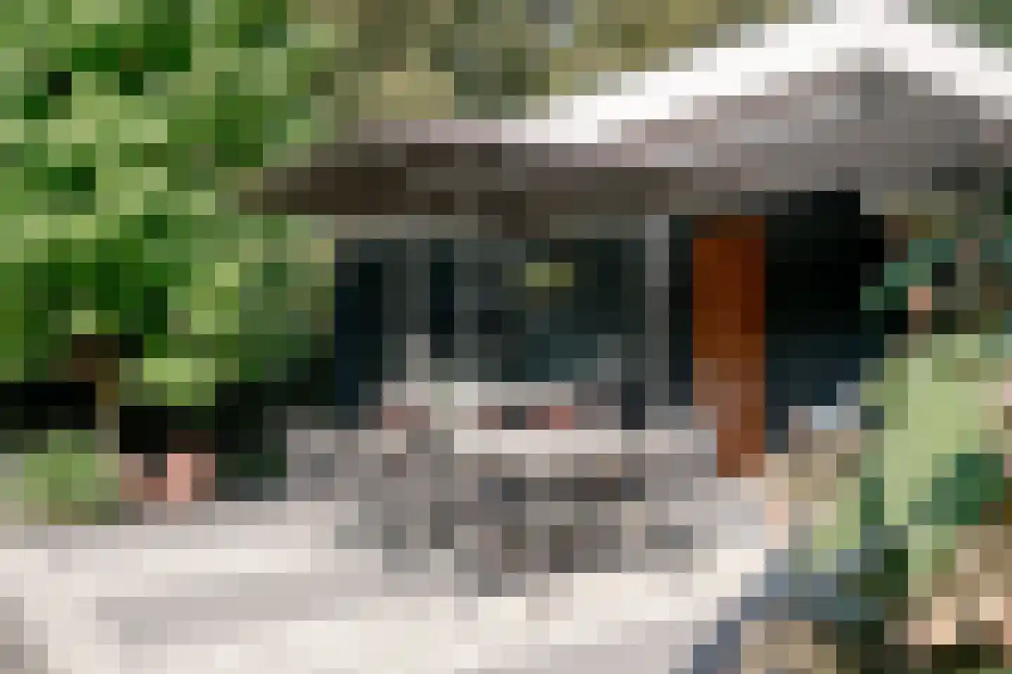 Pucklaan 13 Diever thumbnail 64
