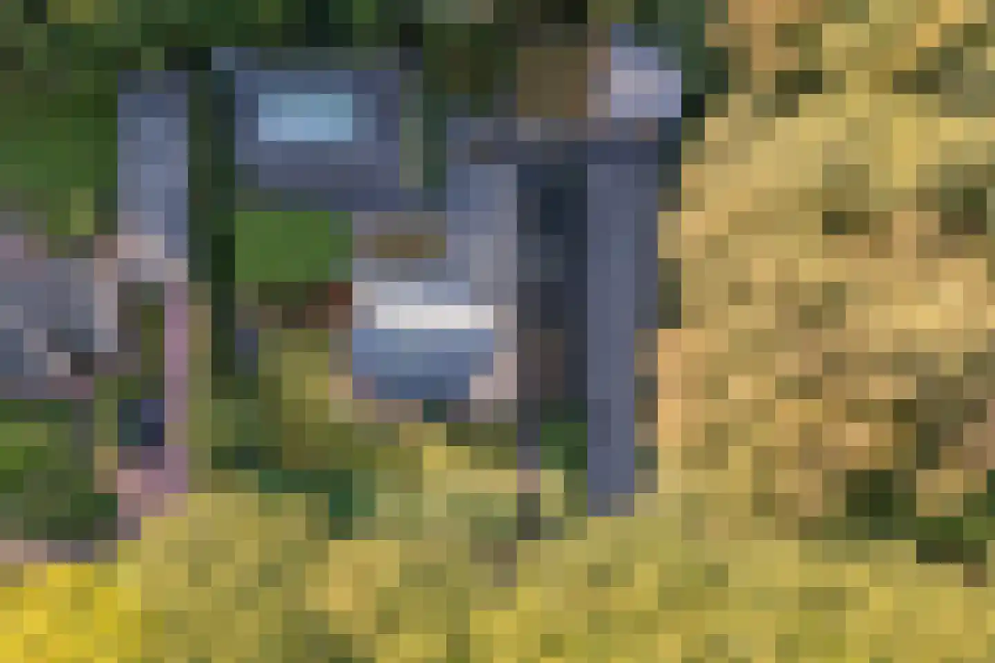 Pucklaan 13 Diever thumbnail 69