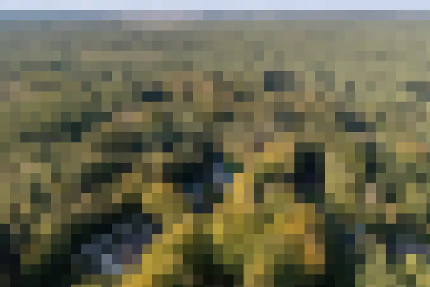 Pucklaan 13 Diever thumbnail 7
