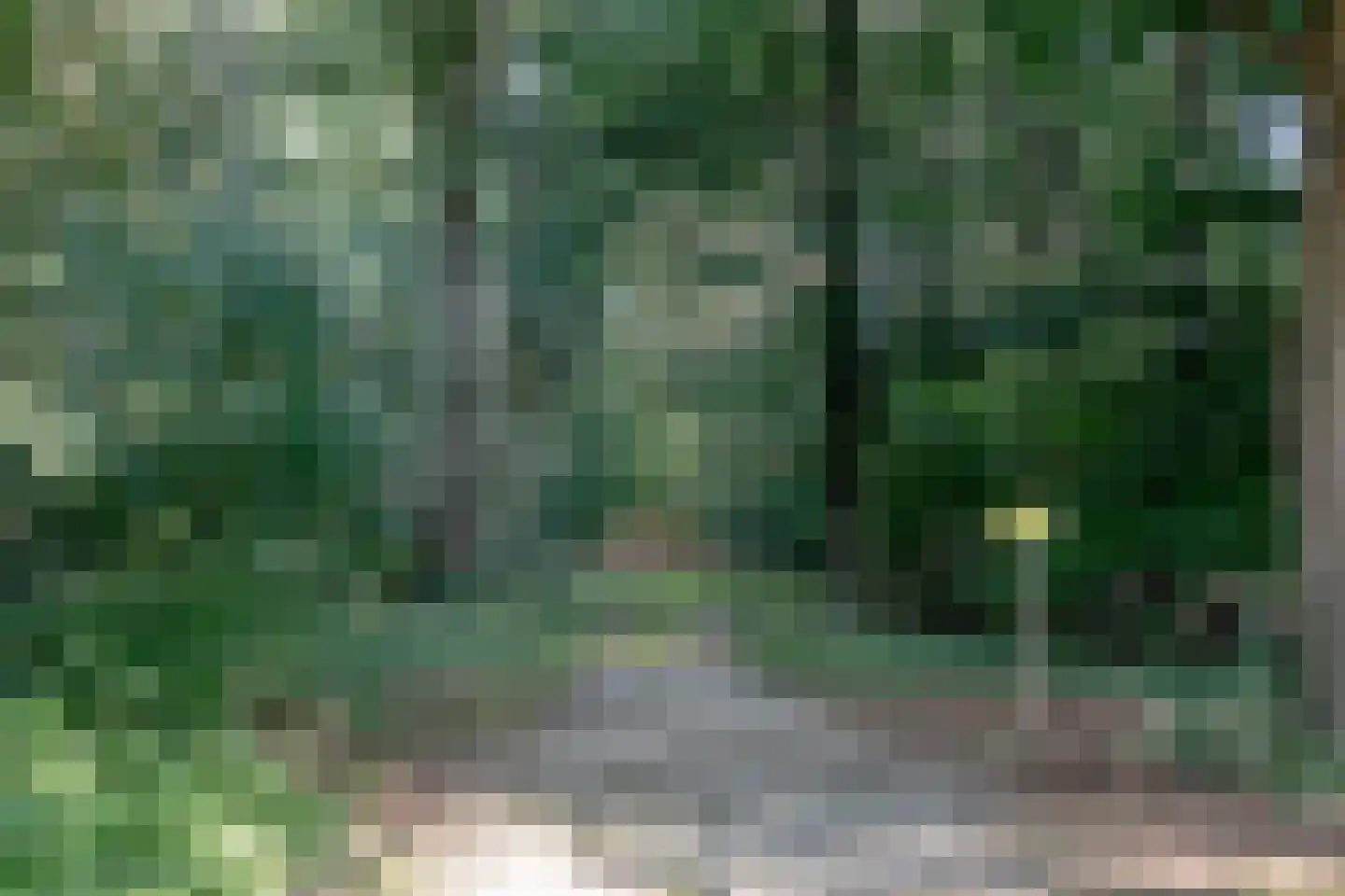 Pucklaan 13 Diever thumbnail 8