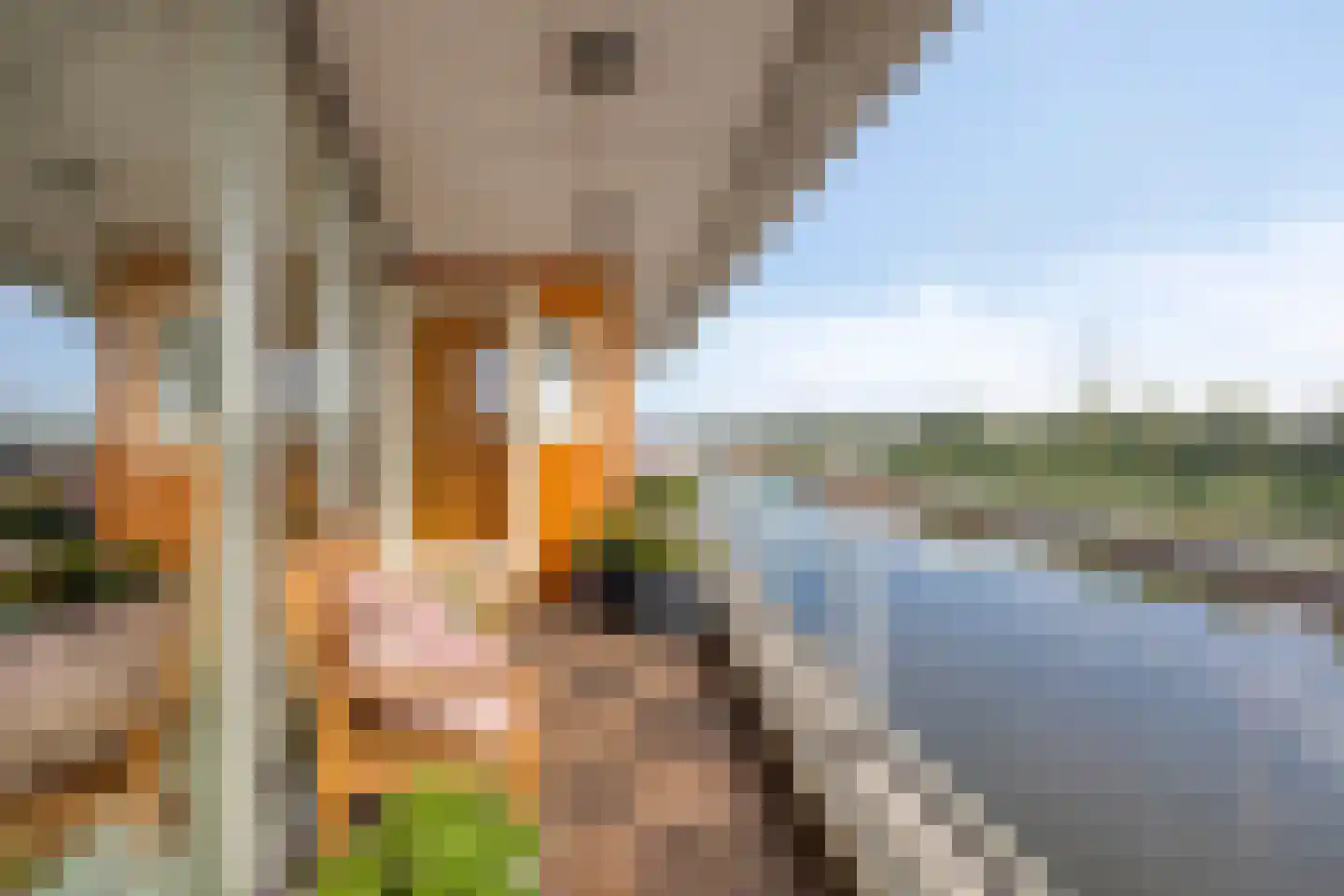 Puerto Ricostraat 67 Almere thumbnail 21