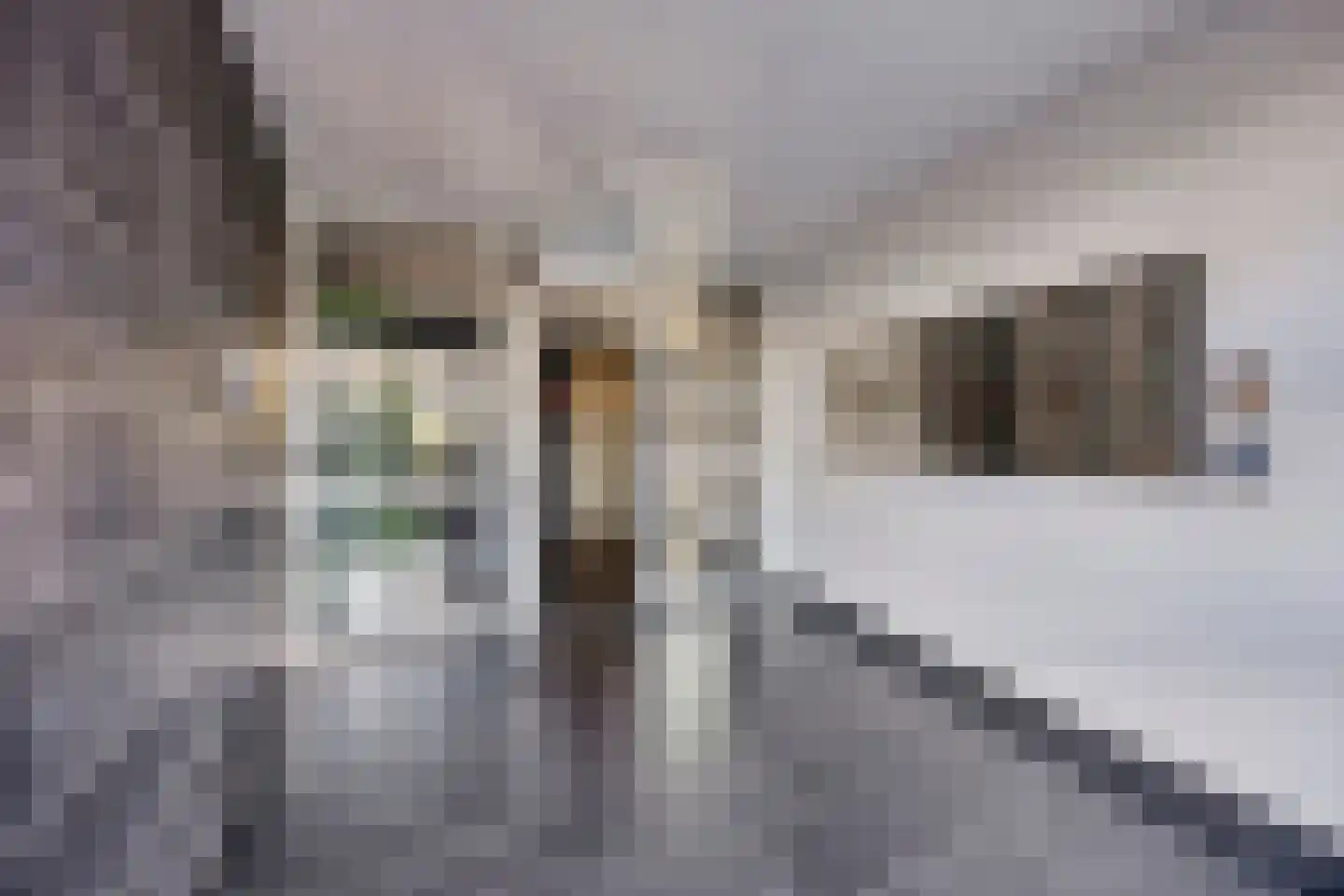 Puerto Ricostraat 67 Almere thumbnail 6
