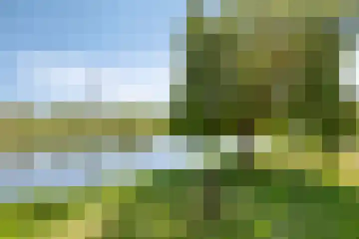 Puerto Ricostraat 99 Almere thumbnail 6