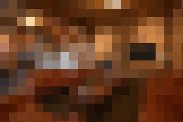 Puitsestraat 2 Leur thumbnail 11
