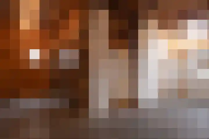 Puitsestraat 2 Leur thumbnail 14