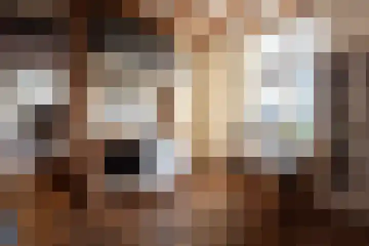 Puitsestraat 2 Leur thumbnail 30