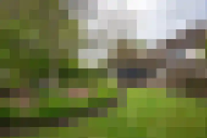 Puitsestraat 2 Leur thumbnail 36