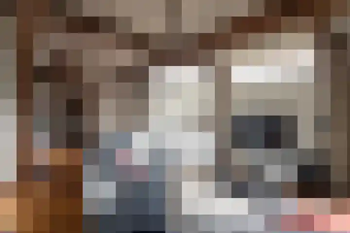 Puitsestraat 2 Leur thumbnail 38