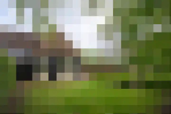 Puitsestraat 2 Leur thumbnail 43