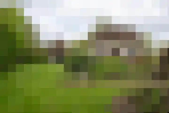 Puitsestraat 2 Leur thumbnail 44