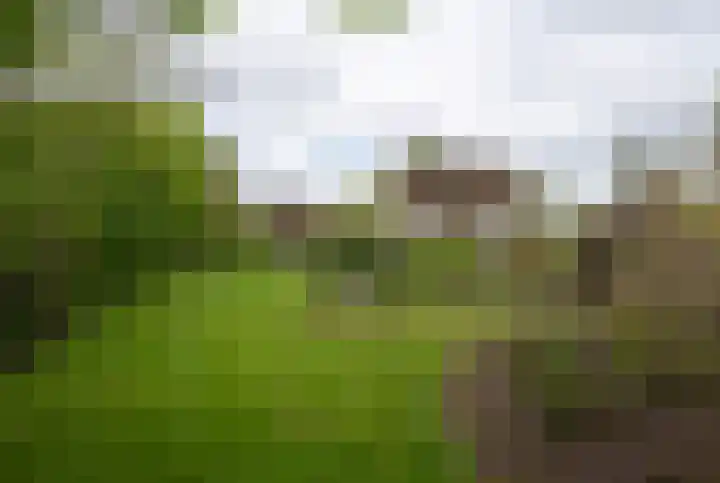 Puitsestraat 2 Leur thumbnail 45